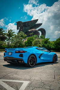 Luxury car rental Miami service - exotic cars lineup
