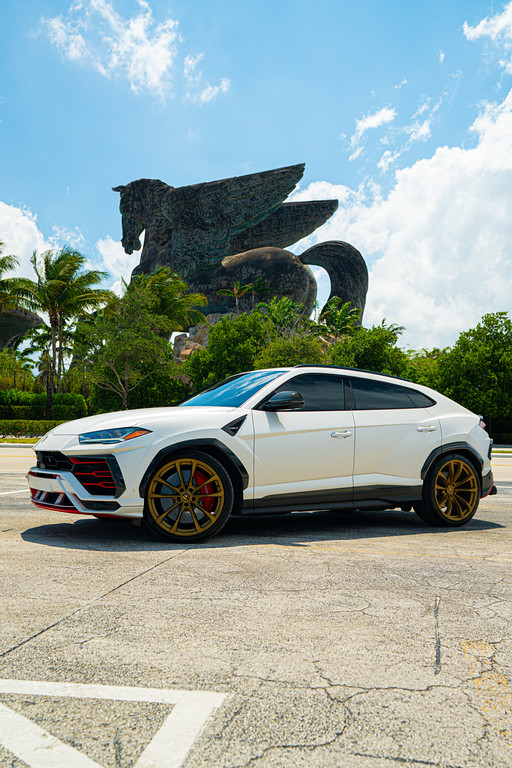 Luxury car rental Miami service - exotic cars lineup