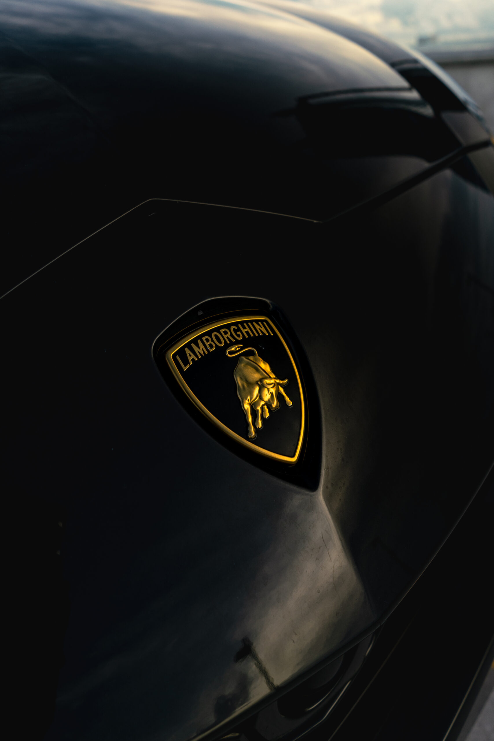 black urus-08 2023 Lamborghini Huracan Evo Black on Black with Yellow Accents MIAMI EXOTIC TOYS (2)